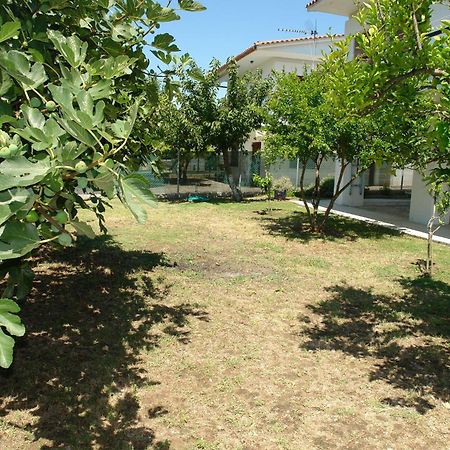 Antheia'S House Βίλα Νέα Σκιώνη Εξωτερικό φωτογραφία