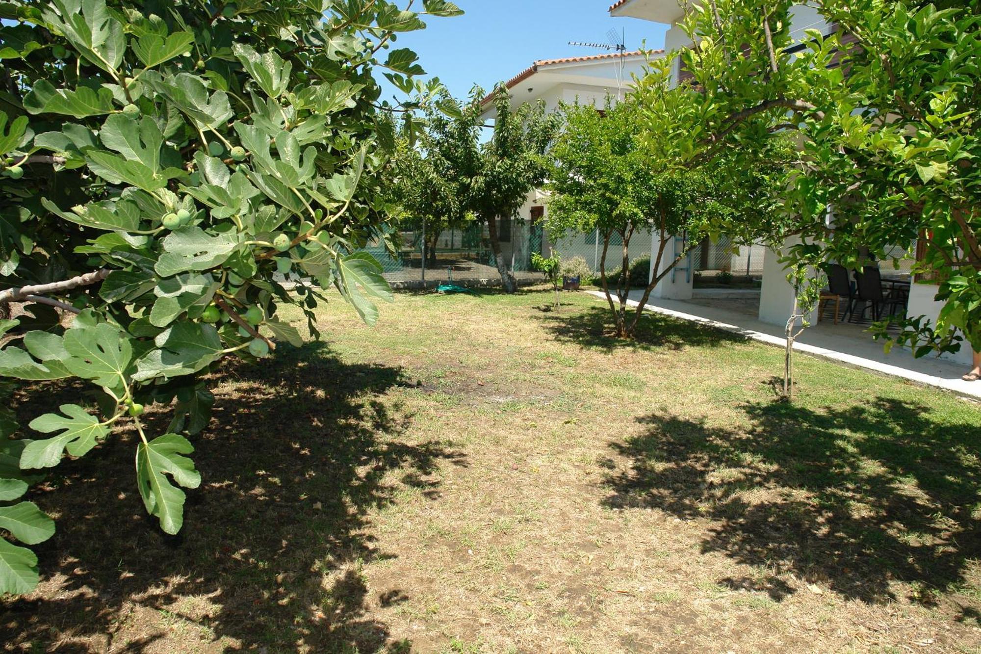 Antheia'S House Βίλα Νέα Σκιώνη Εξωτερικό φωτογραφία