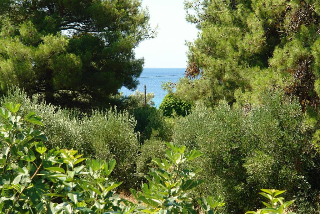 Antheia'S House Βίλα Νέα Σκιώνη Εξωτερικό φωτογραφία
