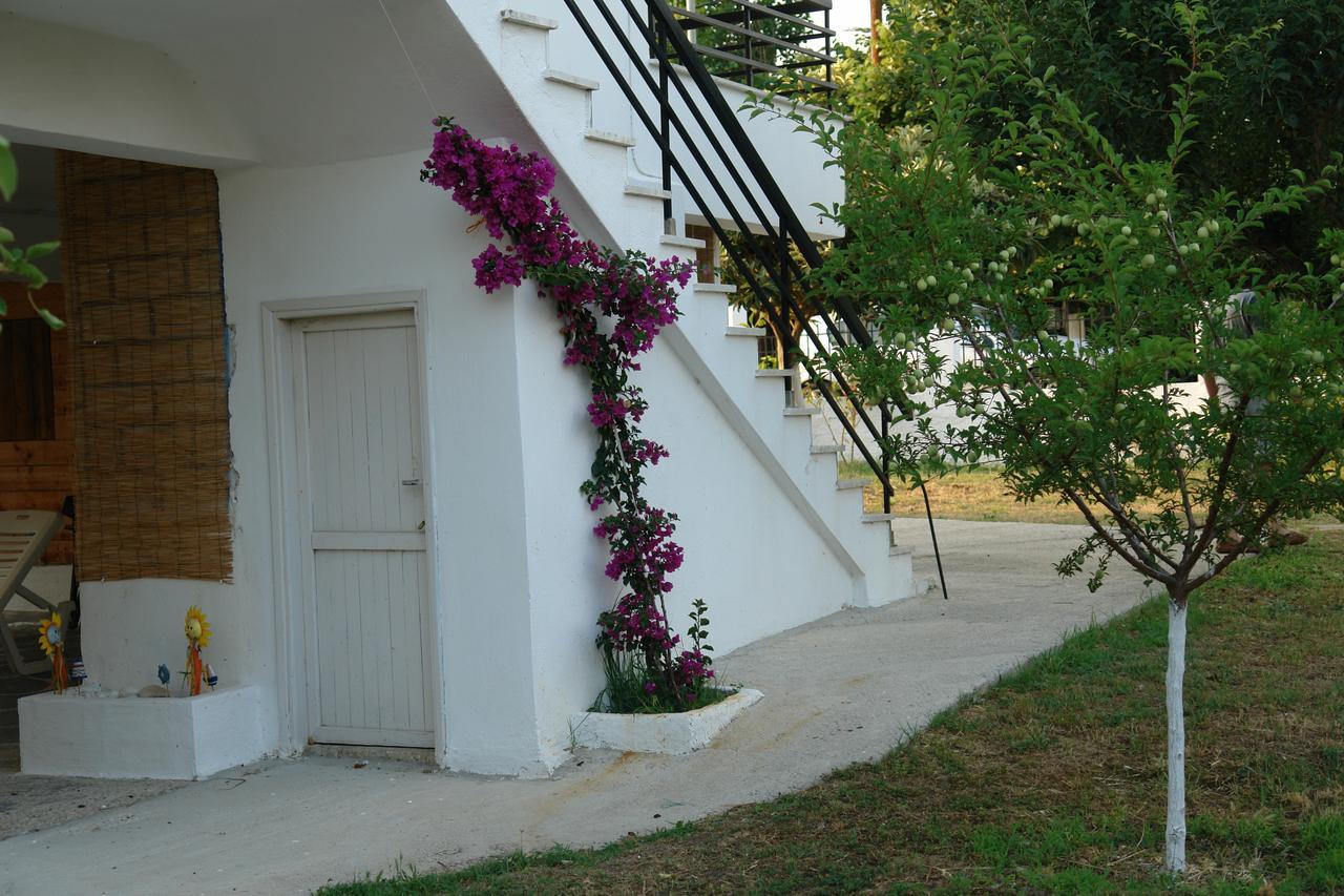 Antheia'S House Βίλα Νέα Σκιώνη Εξωτερικό φωτογραφία